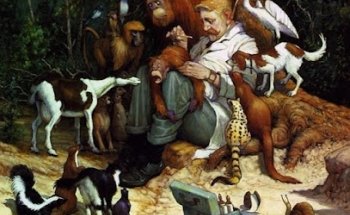 Clínica Veterinaria del Carmen