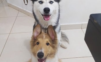 Veterinaria Jardines