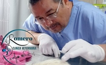 Clínica Veterinaria Romero