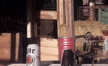 Granero y Veterinaria El Gallo de oro