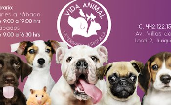 Vida Animal Veterinaria Juriquilla