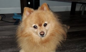 Clinica del Dr. Gaytan