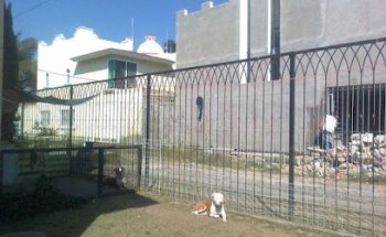 Hotel Canino Los Ángeles: Zapopan