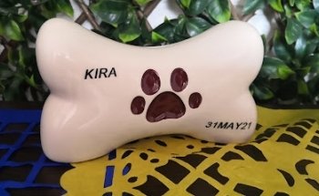 Vet-Fauna veterinaria