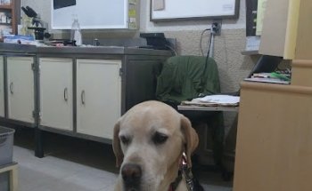 Clinica Veterinaria Paseo Del Bosque