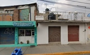 Asistencia En Veterinaria