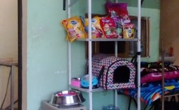 MEDICO VETERINARIO M.V.Z. ARTURO GRACIDA