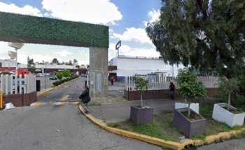 Mundo Bichos Mascotas