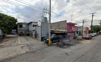 orejitas y colitas Clinica Veterinaria y Estética Canina