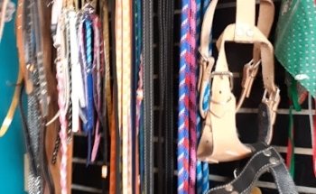 Veterinaria y Estetica Canina HIRU