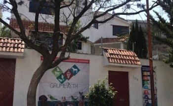 GRUMEVETH Grupo Médico Veterinario de Hidalgo