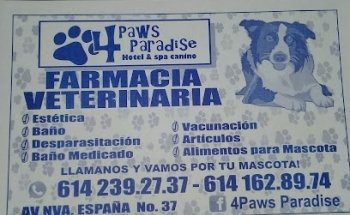 4 Paws Paradise