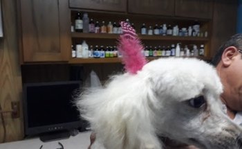 Veterinary Medical Center