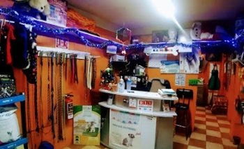 Clinica Veterinaria D'SANT