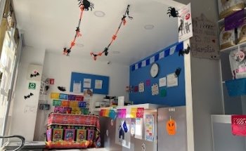 DOG CITY RIO RHIN 24 HORAS