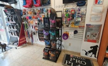 Veterinary Specialty Center Mondo Animale