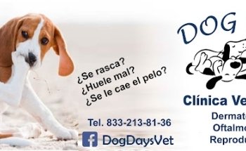 Dog Days Clinica Dermatologica Veterinaria