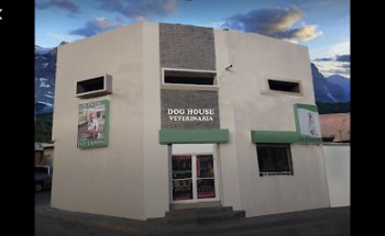 Dog House Hospital Veterinario