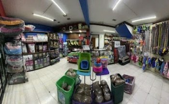 Estética Canina De Pelitos