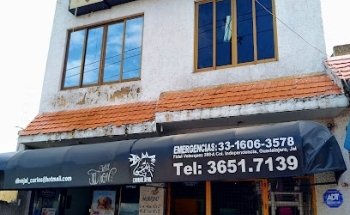 Distribuidora Veterinaria de Jalisco