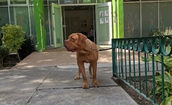 Salesian Park Veterinary Clinic