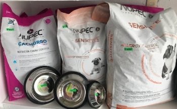 La esquina de la mascota