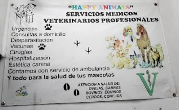 Veterinaria Happy Animals Perote