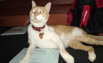 Aguilar Veterinary Clinic