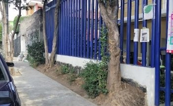 Clinica Veterinaria Alcaldía Tlalpan