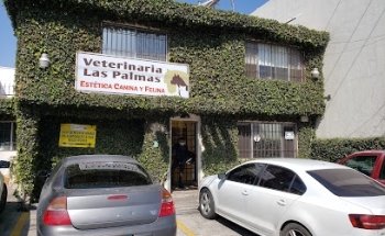 Palmas Veterinary Hospital