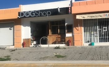 DOGShop pachuca