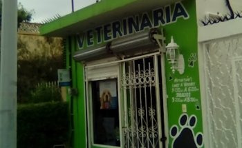 Veterinaria govet