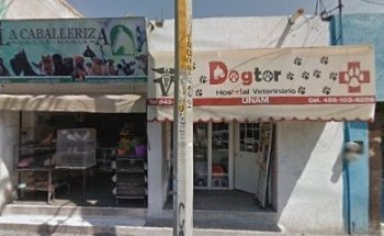 Dogtor Hospetal veterinario