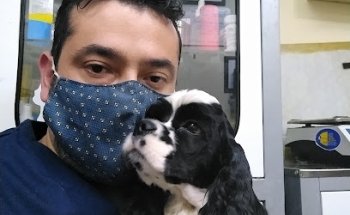 Aqua Marina acuario y mascotas