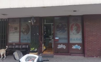 CLÍNICA VETERINARIA ZOOMUNDO