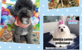 Estetica Canina