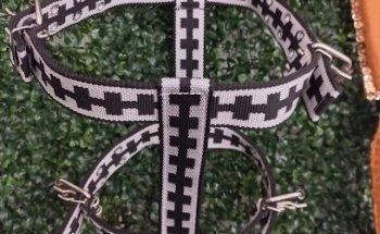 VETERINARIA EL POTRILLO ENCANTADOR