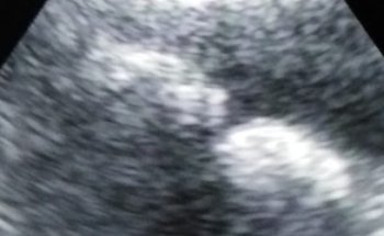 CLINICA VETERINARIA CASA BLANCA ,Estética,Acuario