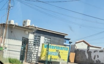 Clínica veterinaria Tjvet