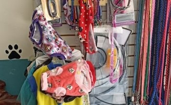 Unidad Medica Veterinaria. MVZ: Luis Gaspar H. Nuñez