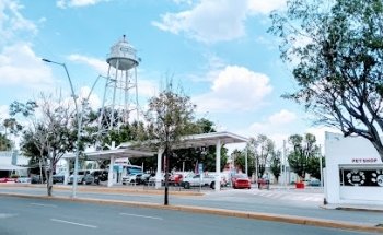 Clínica Veterinaria Kentauro