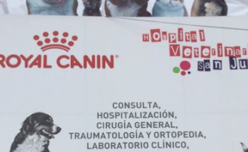 Hospital Veterinario San Juan