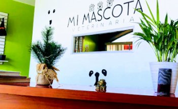 Vet Mi Mascota