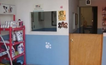 Veterinary Animal Kingdom