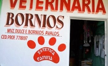 Veterinaria Bornios