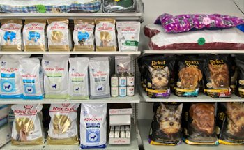 Clínica Veterinaria El Puma