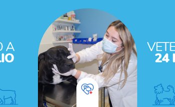 RuffusVet Veterinaria Santa Catarina