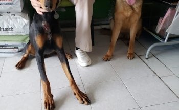 Intermédica Veterinaria HOPE