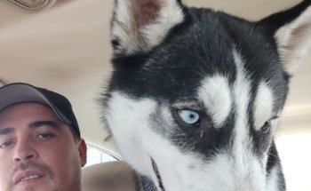 Estetica Veterinaria Mascota's Ocotlan Jalisco