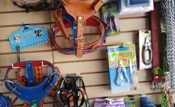 Veterinaria Alfa Colinas del Aeropuerto